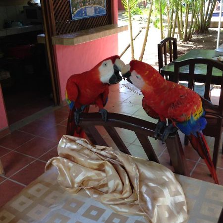 Hotel El Paraiso Escondido - Costa Rica ฆาโก ภายนอก รูปภาพ