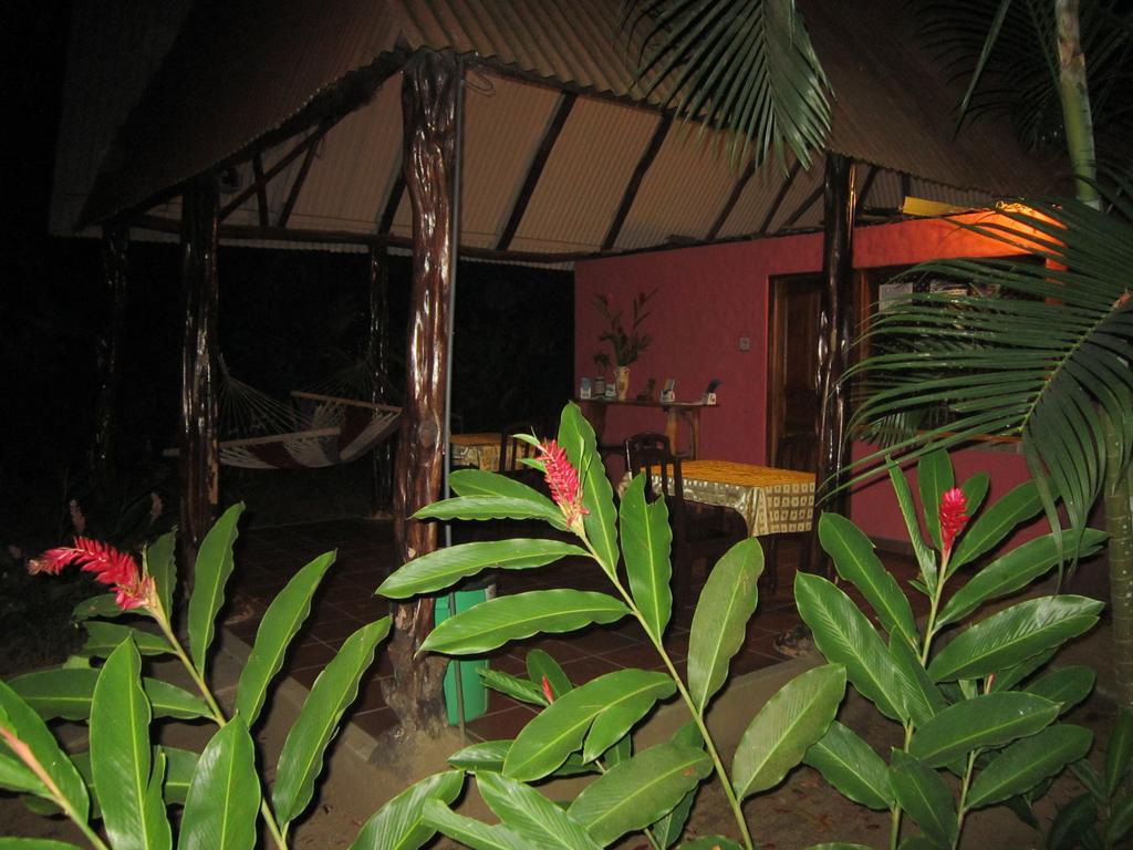 Hotel El Paraiso Escondido - Costa Rica ฆาโก ภายนอก รูปภาพ