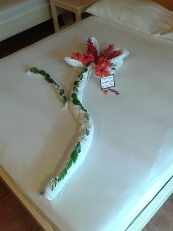 Hotel El Paraiso Escondido - Costa Rica ฆาโก ภายนอก รูปภาพ