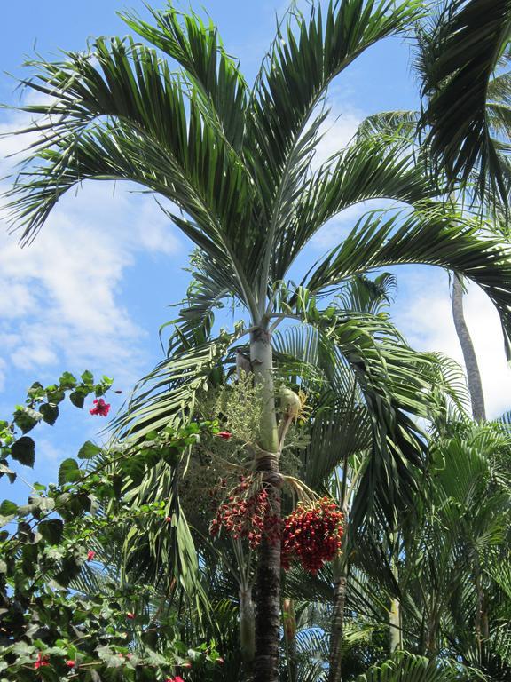 Hotel El Paraiso Escondido - Costa Rica ฆาโก ภายนอก รูปภาพ