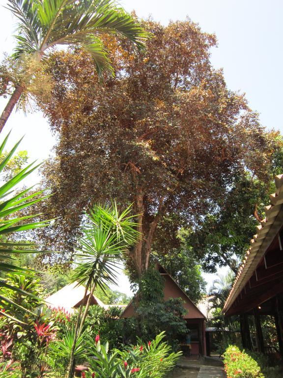 Hotel El Paraiso Escondido - Costa Rica ฆาโก ห้อง รูปภาพ