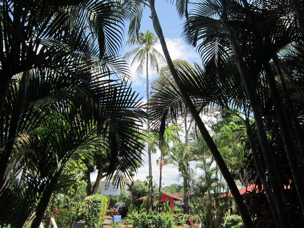 Hotel El Paraiso Escondido - Costa Rica ฆาโก ภายนอก รูปภาพ