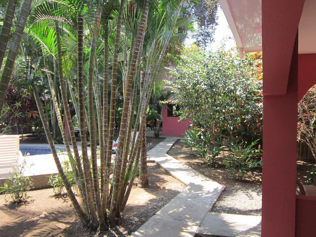 Hotel El Paraiso Escondido - Costa Rica ฆาโก ห้อง รูปภาพ
