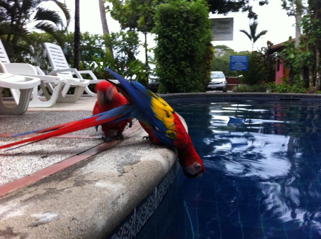Hotel El Paraiso Escondido - Costa Rica ฆาโก ภายนอก รูปภาพ