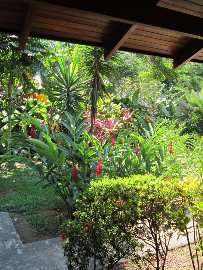 Hotel El Paraiso Escondido - Costa Rica ฆาโก ภายนอก รูปภาพ