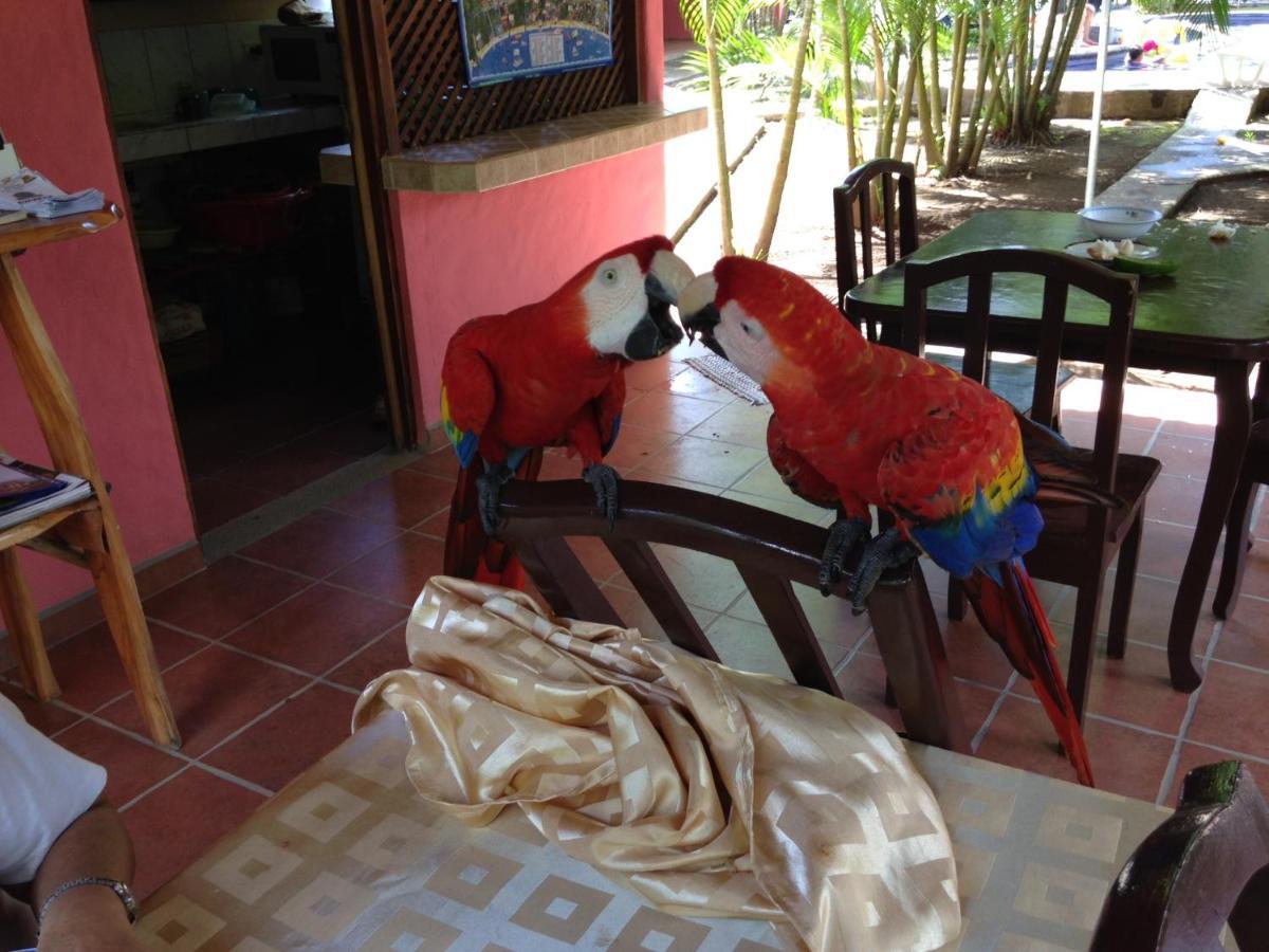 Hotel El Paraiso Escondido - Costa Rica ฆาโก ภายนอก รูปภาพ